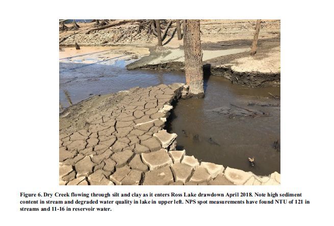 Ross Lake sediment